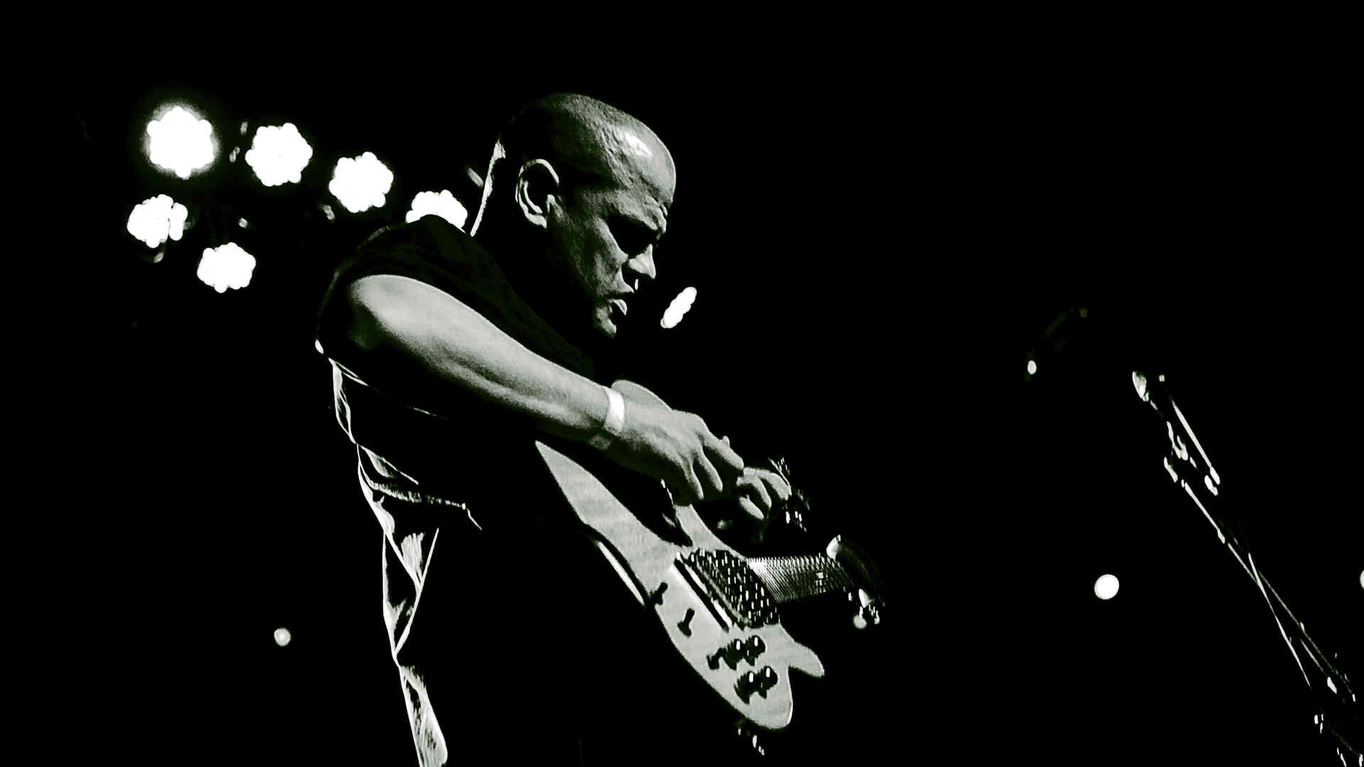 Dave Fuze Fiuczynski KiF coul