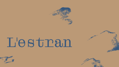 Estran 1