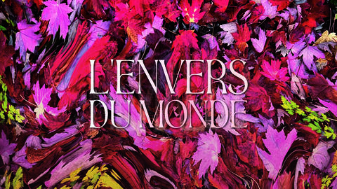 Bannière